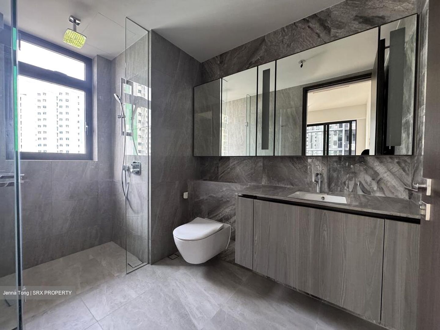 Piccadilly Grand (D8), Apartment #495618951